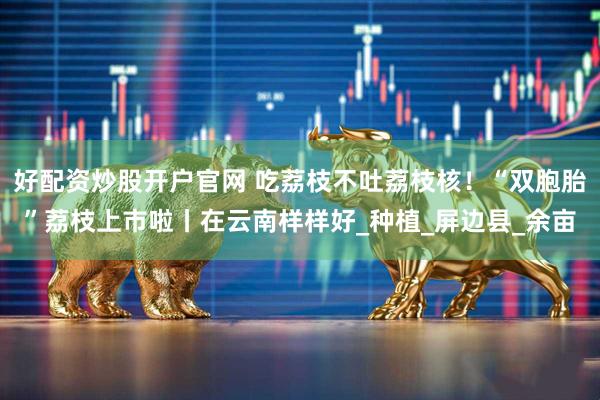 好配资炒股开户官网 吃荔枝不吐荔枝核！“双胞胎”荔枝上市啦丨在云南样样好_种植_屏边县_余亩