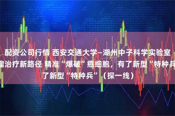 配资公司行情 西安交通大学—湖州中子科学实验室团队探索肿瘤治疗新路径 精准“爆破”癌细胞,有了新型“特种兵”(探一线)