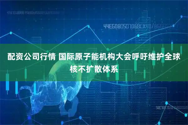 配资公司行情 国际原子能机构大会呼吁维护全球核不扩散体系